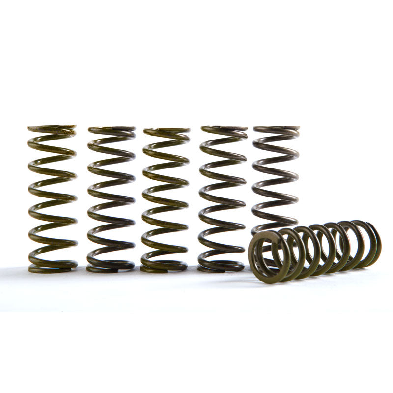 Hinson 6pc Hi-Temp Clutch Springs &verbar; CS130-6-8602