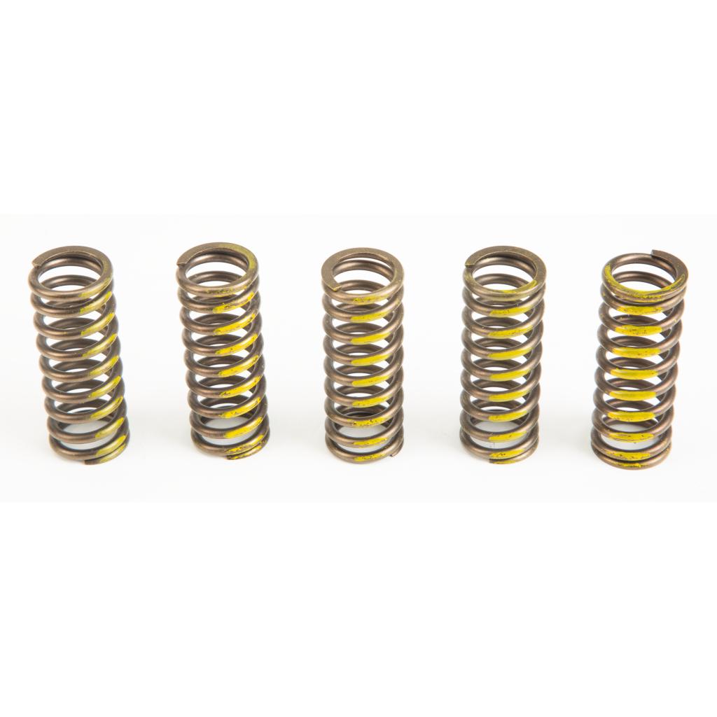 Pro Circuit High Performance Clutch Springs &verbar; CSS07250