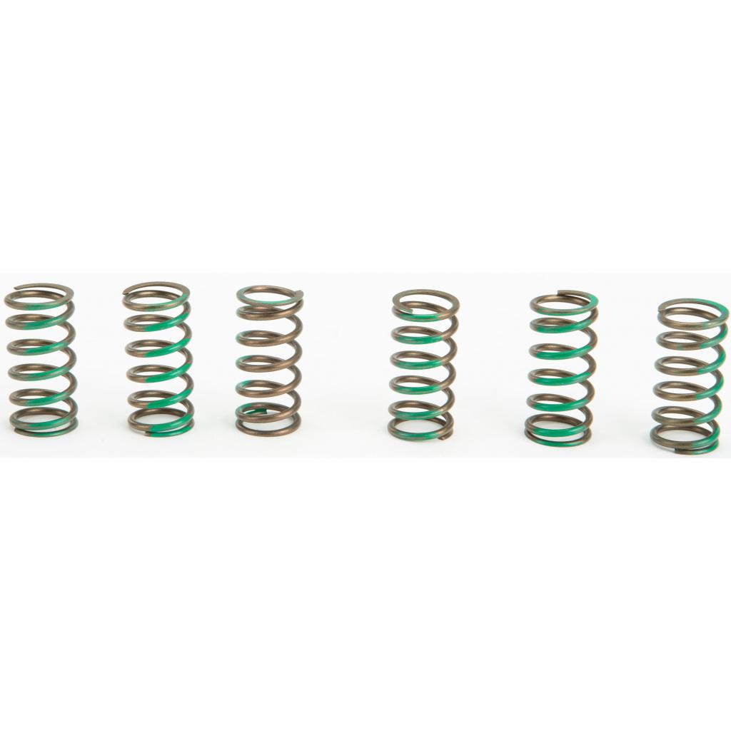 Pro Circuit High Performance Clutch Springs &verbar; CSK09065