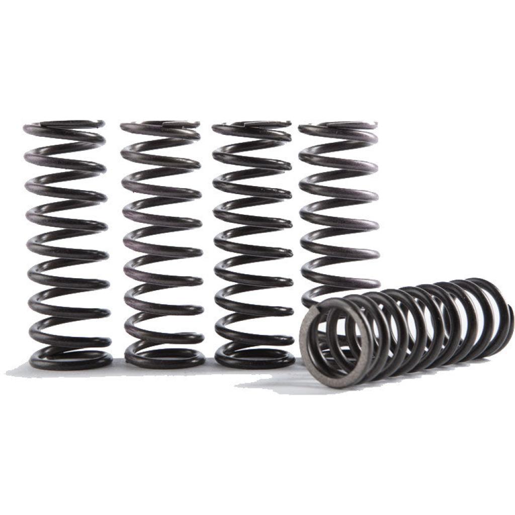 Hinson 5pc Hi-Temp Clutch Springs &verbar; CS216-5-0315