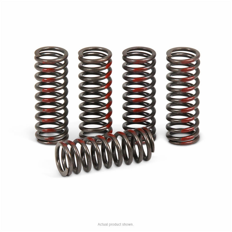 Pro Circuit High Performance Clutch Springs 2010-17 Honda CRF250R | CSH10250-CS