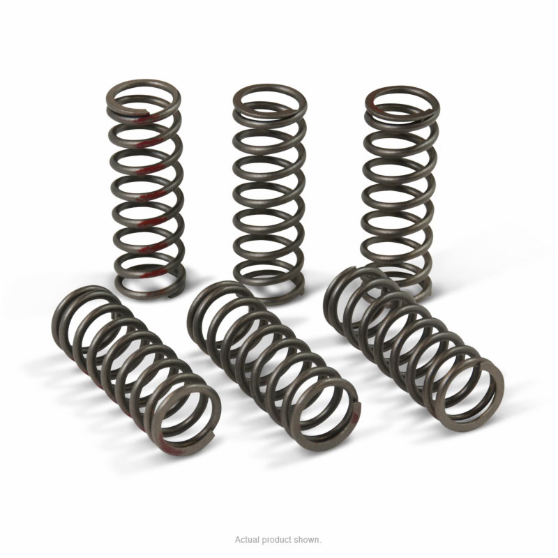 Pro Circuit High Performance Clutch Springs 2013-20 Honda CRF450R &verbar; CSH13450-CS