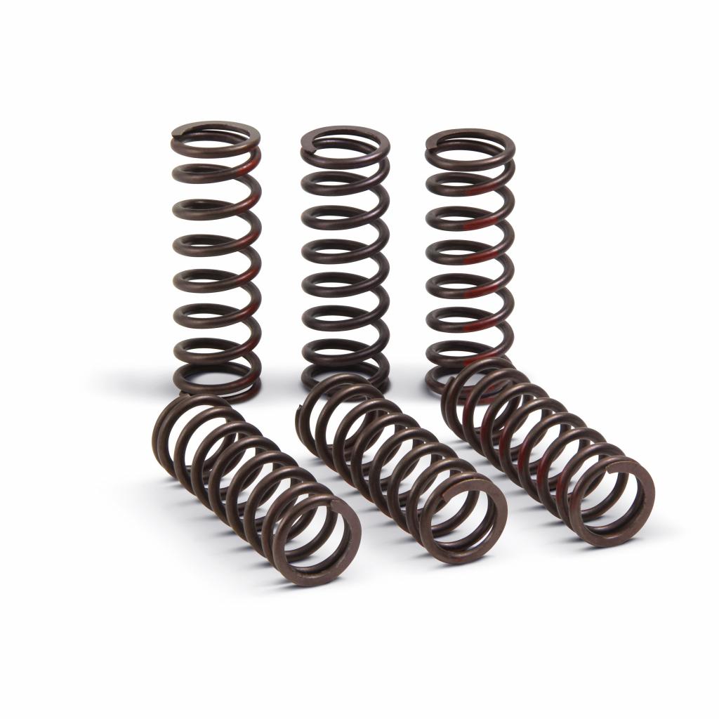 Pro Circuit High Performance Clutch Springs 2021 Honda CRF450R &verbar; CSH21450-CS