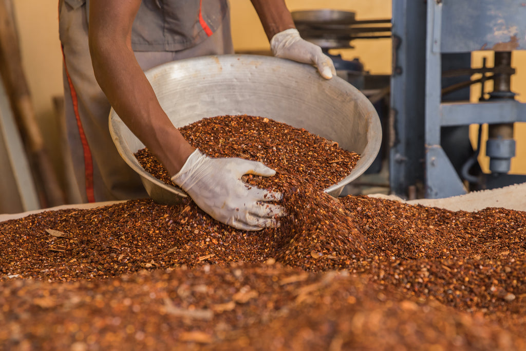 Scooping Berbere Mix for blending