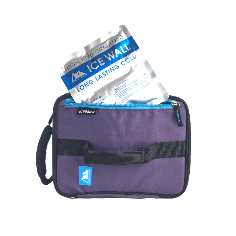 arctic zone lunch tote