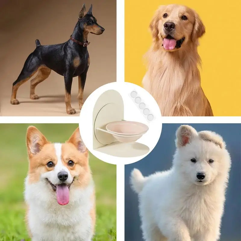 Sfb42ffa1591b4d9c8f5325ca449b5660v