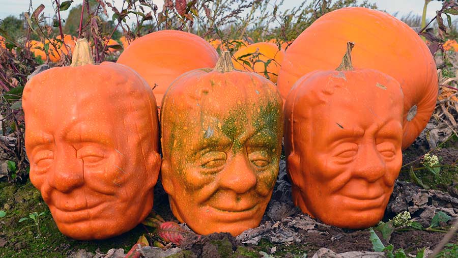 Image result for Frankenstein Pumpkin Shaping Mold