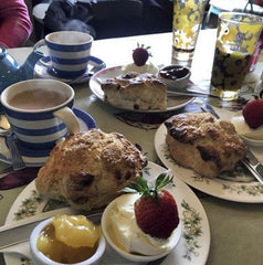 Daisy's Cafe Giant Scones Looe