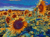 Sunflowers of Kansas abstract Photograph Bob Hundt Photography 