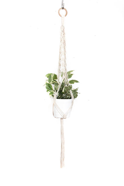 Plant Hangers – natalie ranae