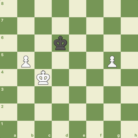 chess end game strategy