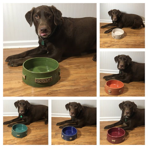 special dog bowls