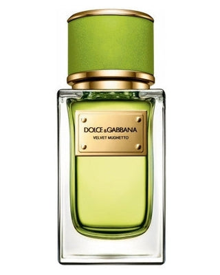 Dolce & Gabbana Perfume Samples & Decants | Scent split