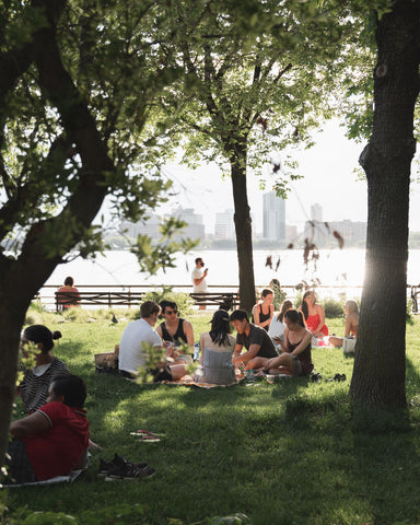 Family picnic in the park