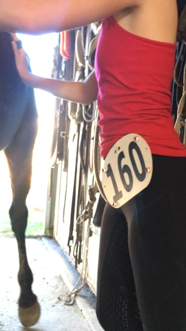 Horse Show magnetic number pins
