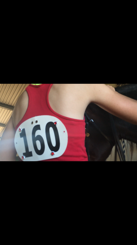 Horse Show magnetic number pins