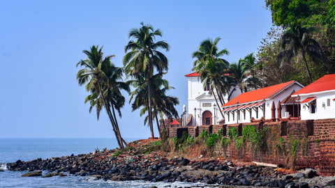 Red roof with palm trees by the ocean