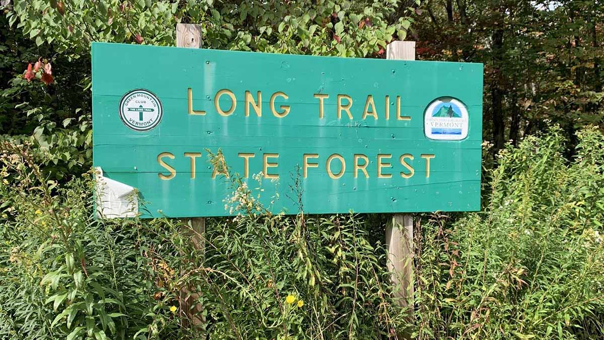 Sign marking the Long Trail State Forest