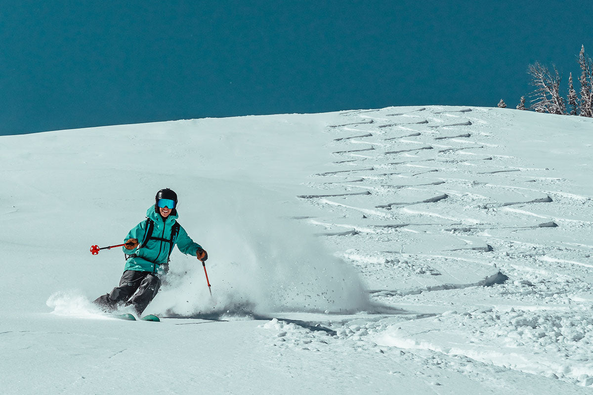 sophia schwartz downhill skiing