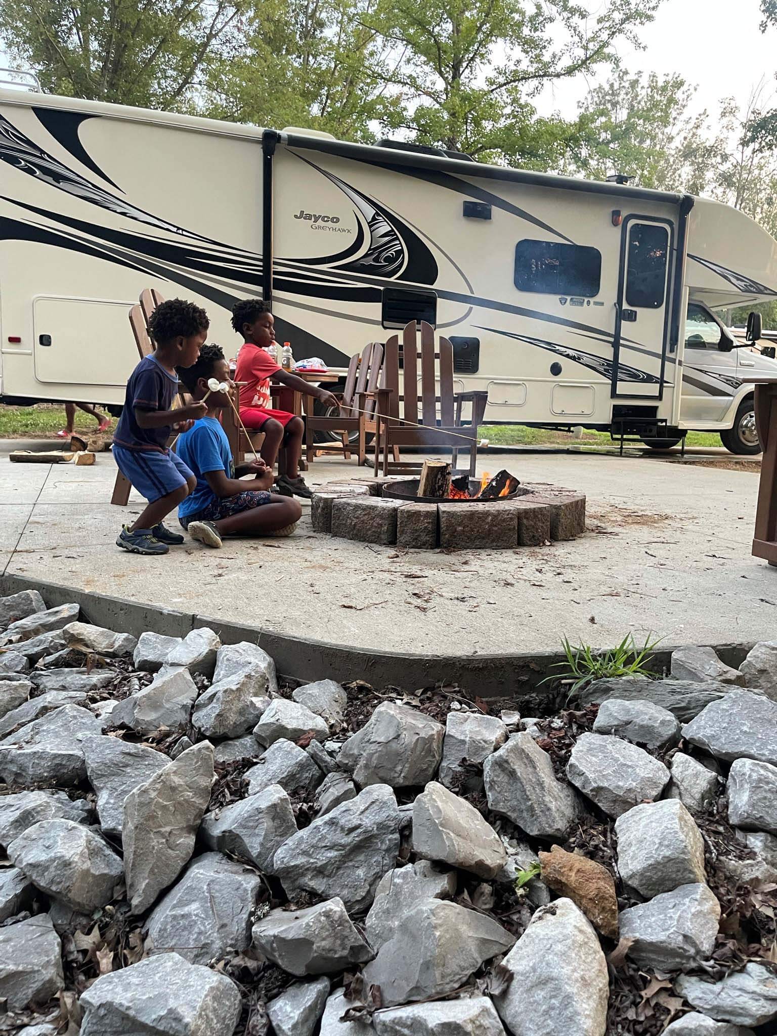 Kids roasting marshmallows by Zenovia Stephens