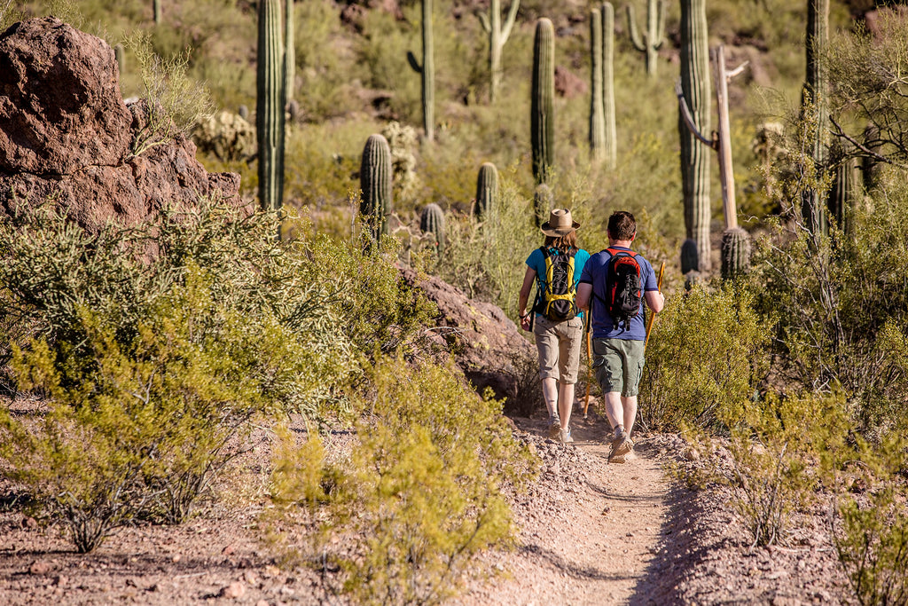 Best local hiking trails, eco-friendly hiking tips