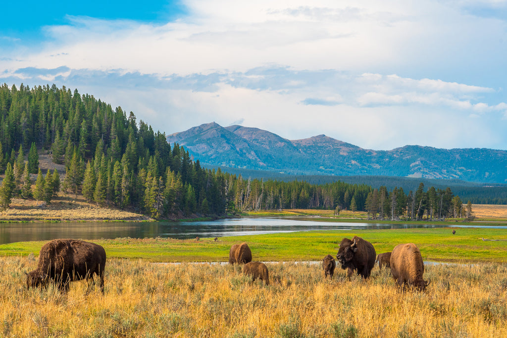 Hiking in the national parks, eco-friendly hiking tips