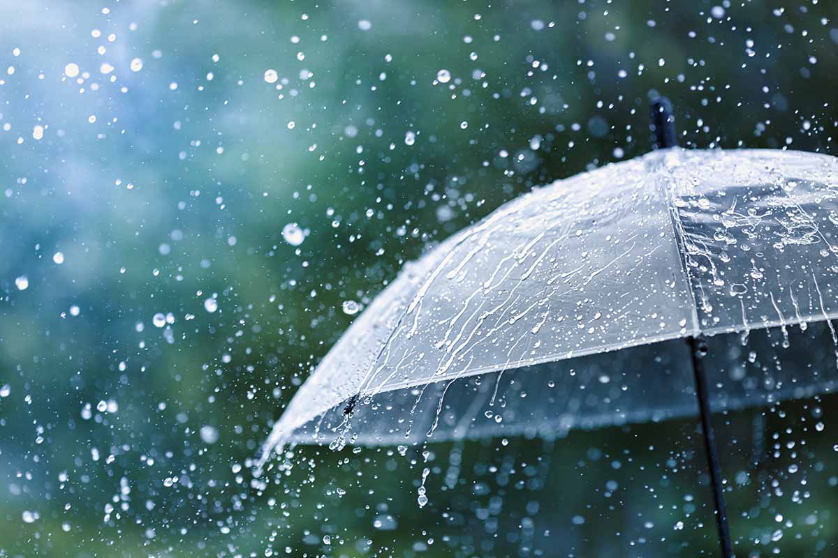 umbrella under heavy rain against water drops splash background
