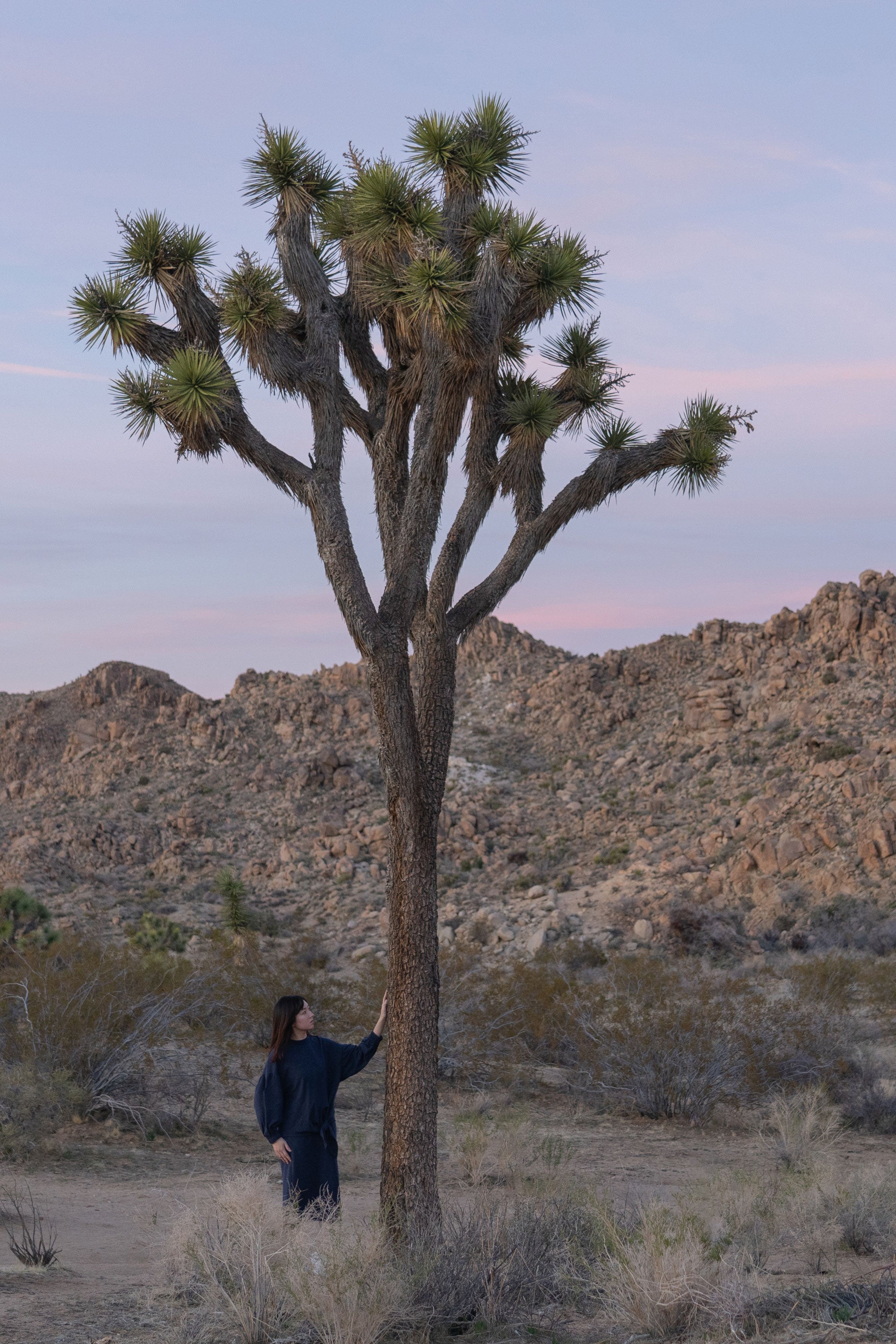 An Ode to the Desert