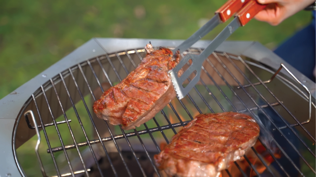 charcoal seared steak