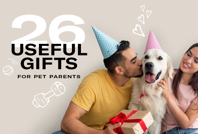 26 Useful Gifts for Pet Parents