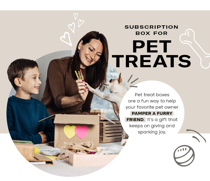 subscription box for pet treats