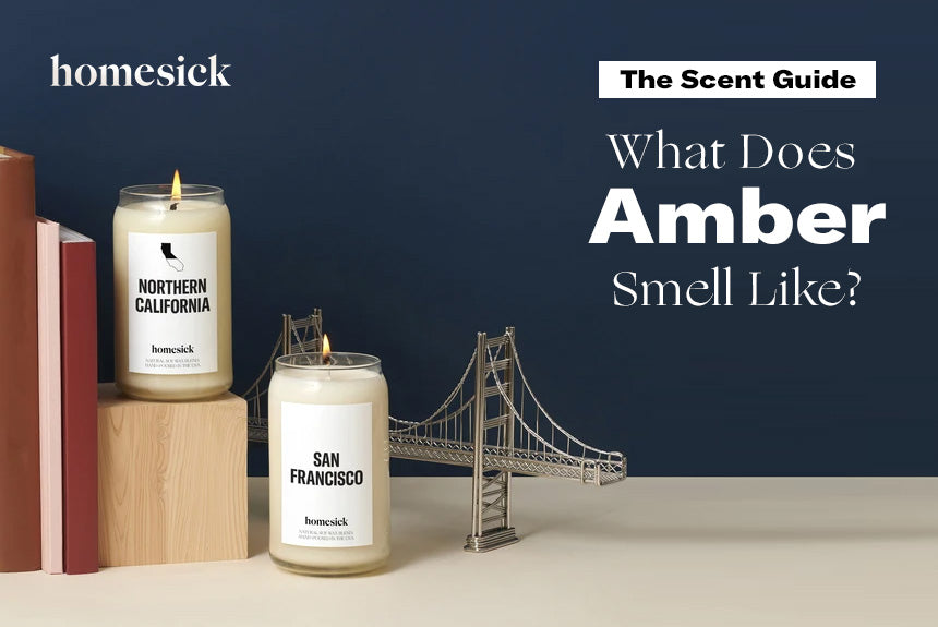 The Scent Guide What Does Amber Smell Like