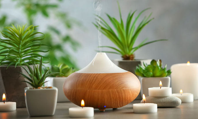 https://cdn.shopify.com/s/files/1/0987/6688/files/essential-oil-diffuser-with-home-plants.jpg?v=1585679643