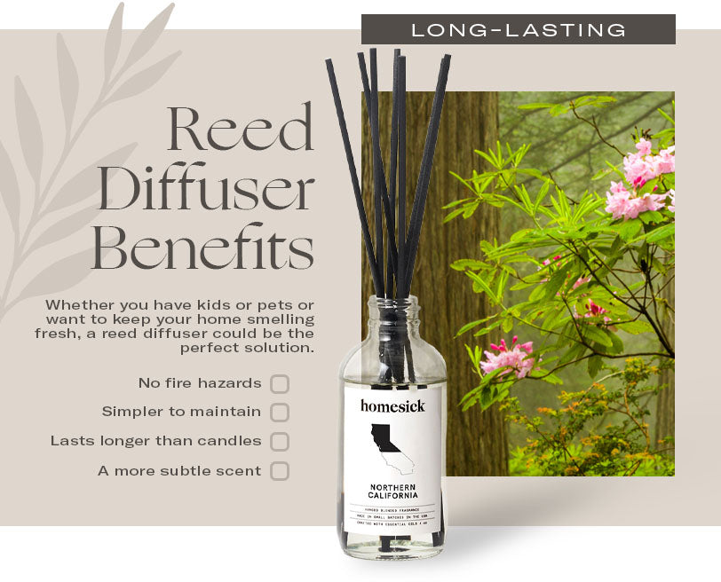 Reed Diffuser Long-Lasting Scent