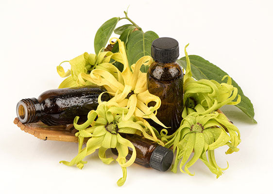 ylang ylang essential oil bottles