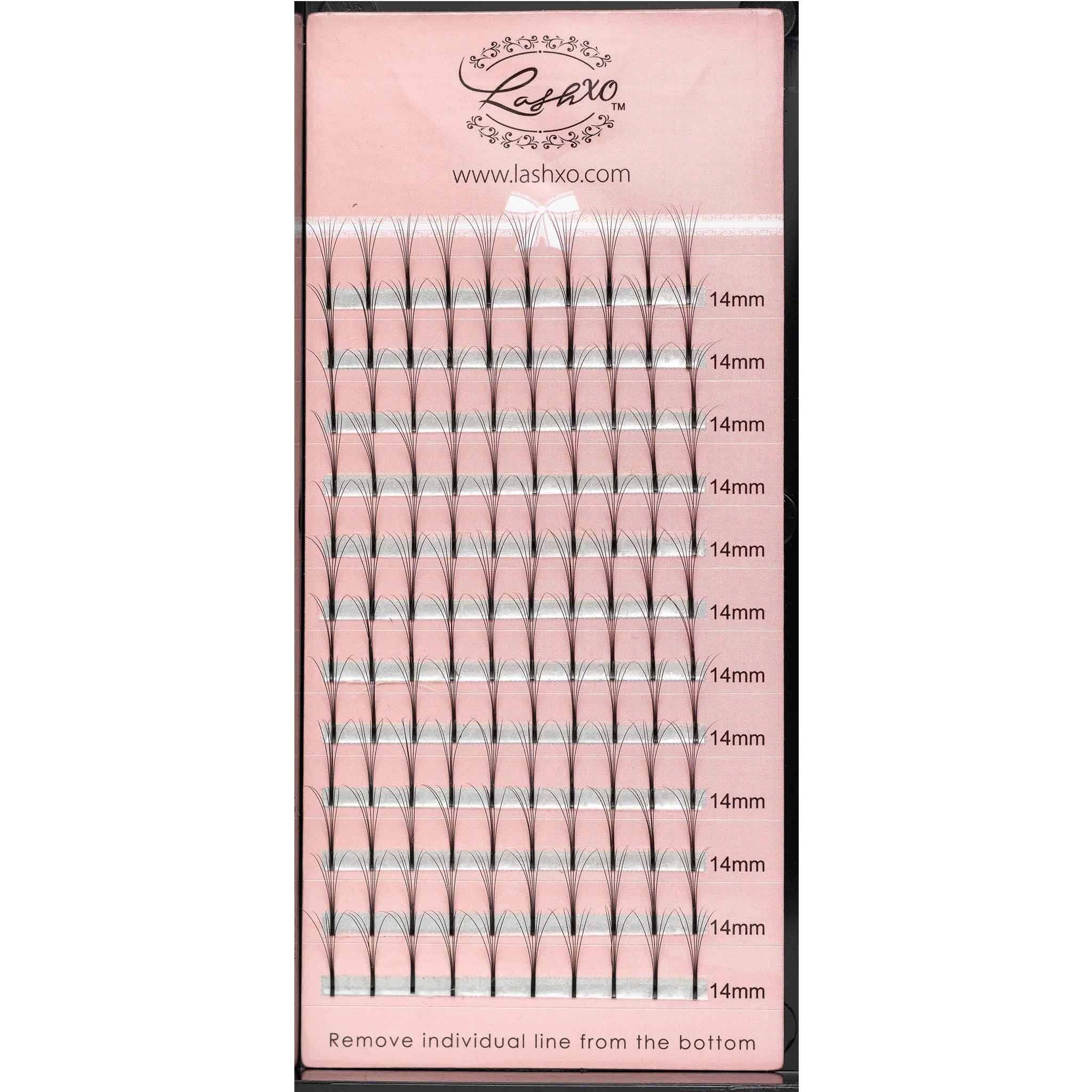 Products – LashXO