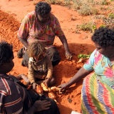 Anaty Desert Yam paintings