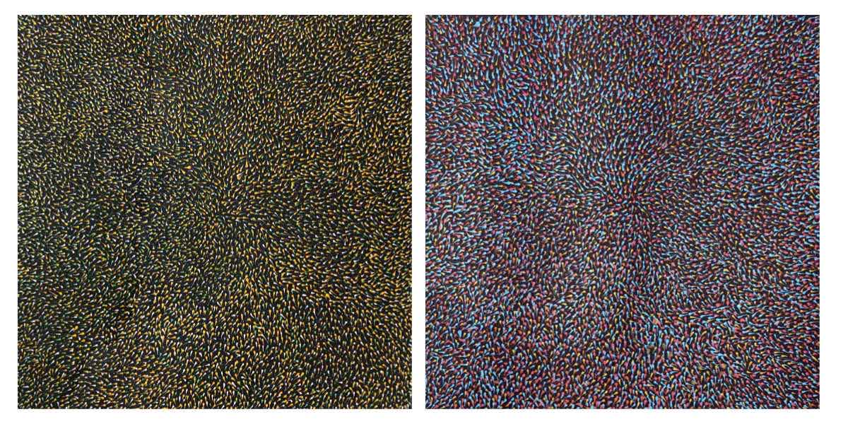 Aboriginal paintings by Elizabeth Kunoth Kngwarreye