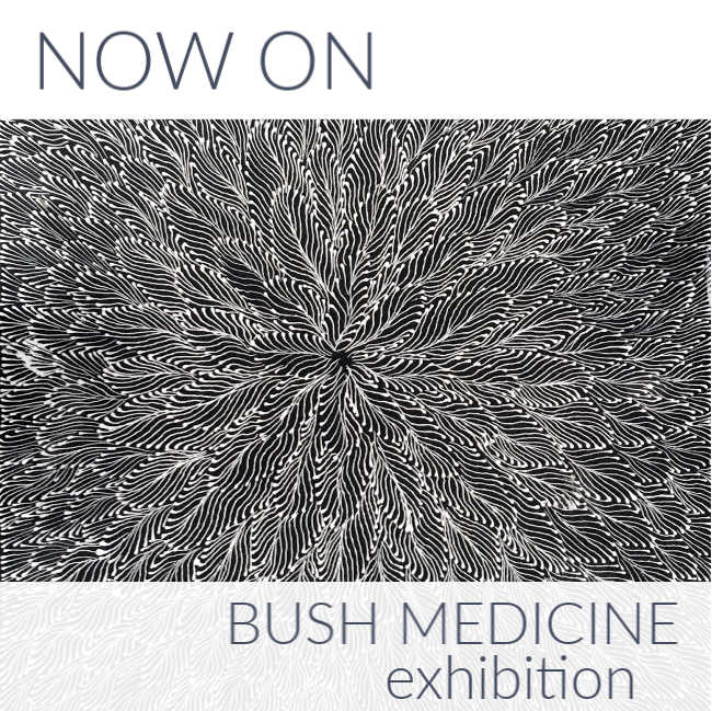 Jetzt im Programm: Bush-Medizin-Ausstellung