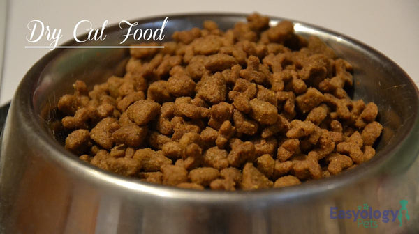 Best Cat Food Debate: Should You Go with Dry, Wet, or Raw?