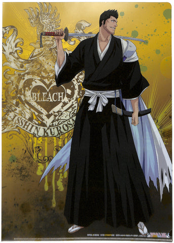 Bleach Clear File - A4 Clear File Ichiban Kuji F Prize Isshin Kurosaki ...