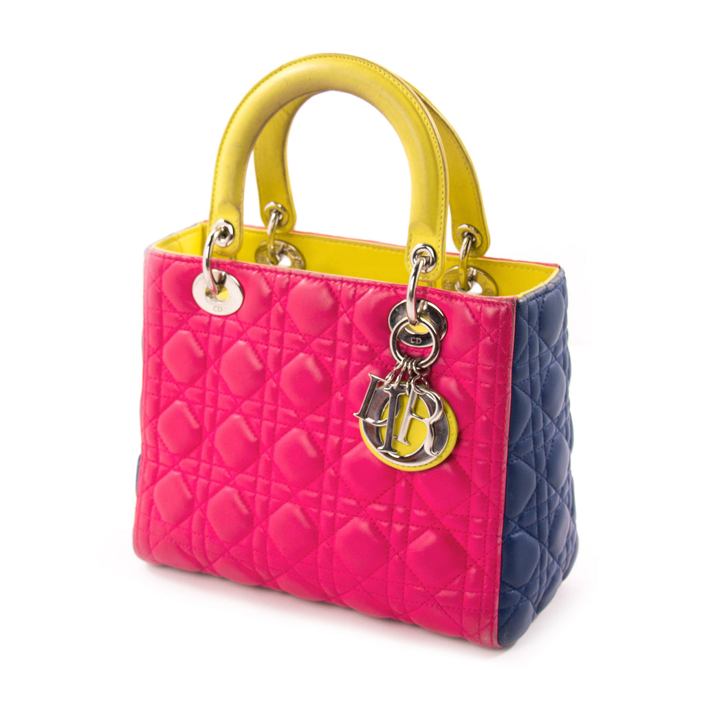 lady dior tricolor