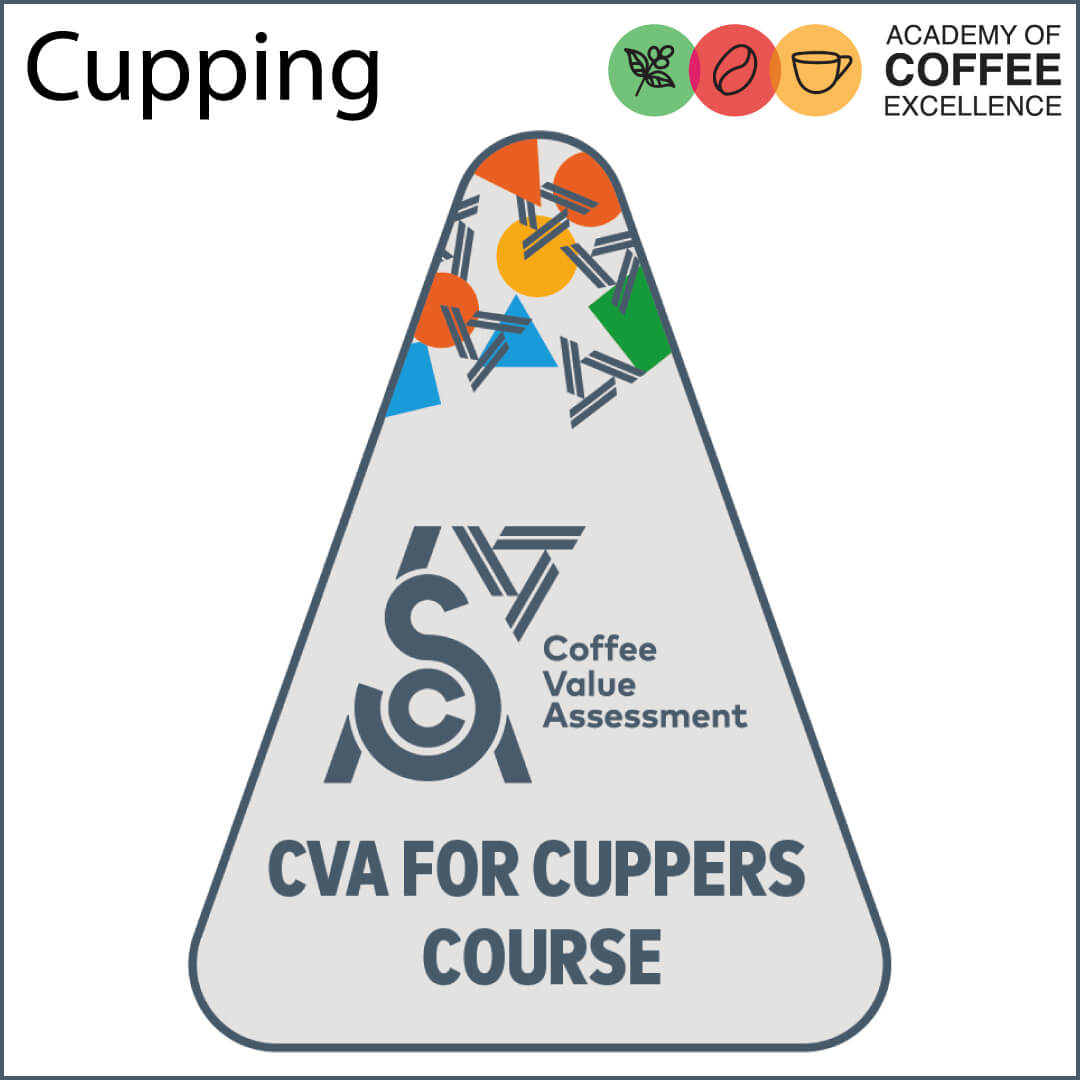 CVA For Cuppers LIVE IN QUITO ECUADOR
