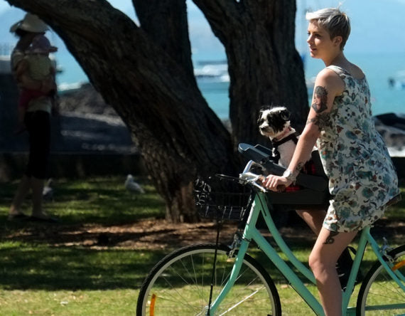 buddy bike seat for dogs