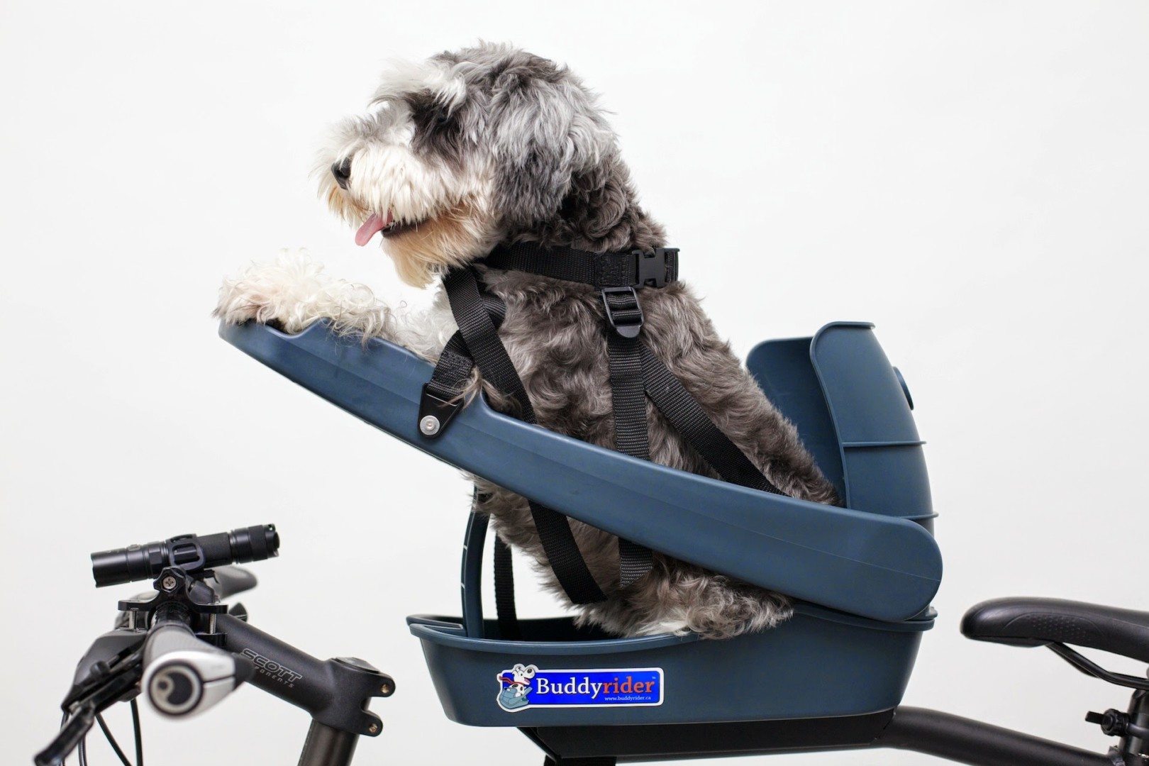 Buddy Rider Pet Seat – White Pine 