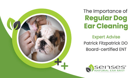 Importance of Regular Dog Ear Cleaning