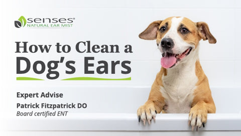 how to clean a dogs ears