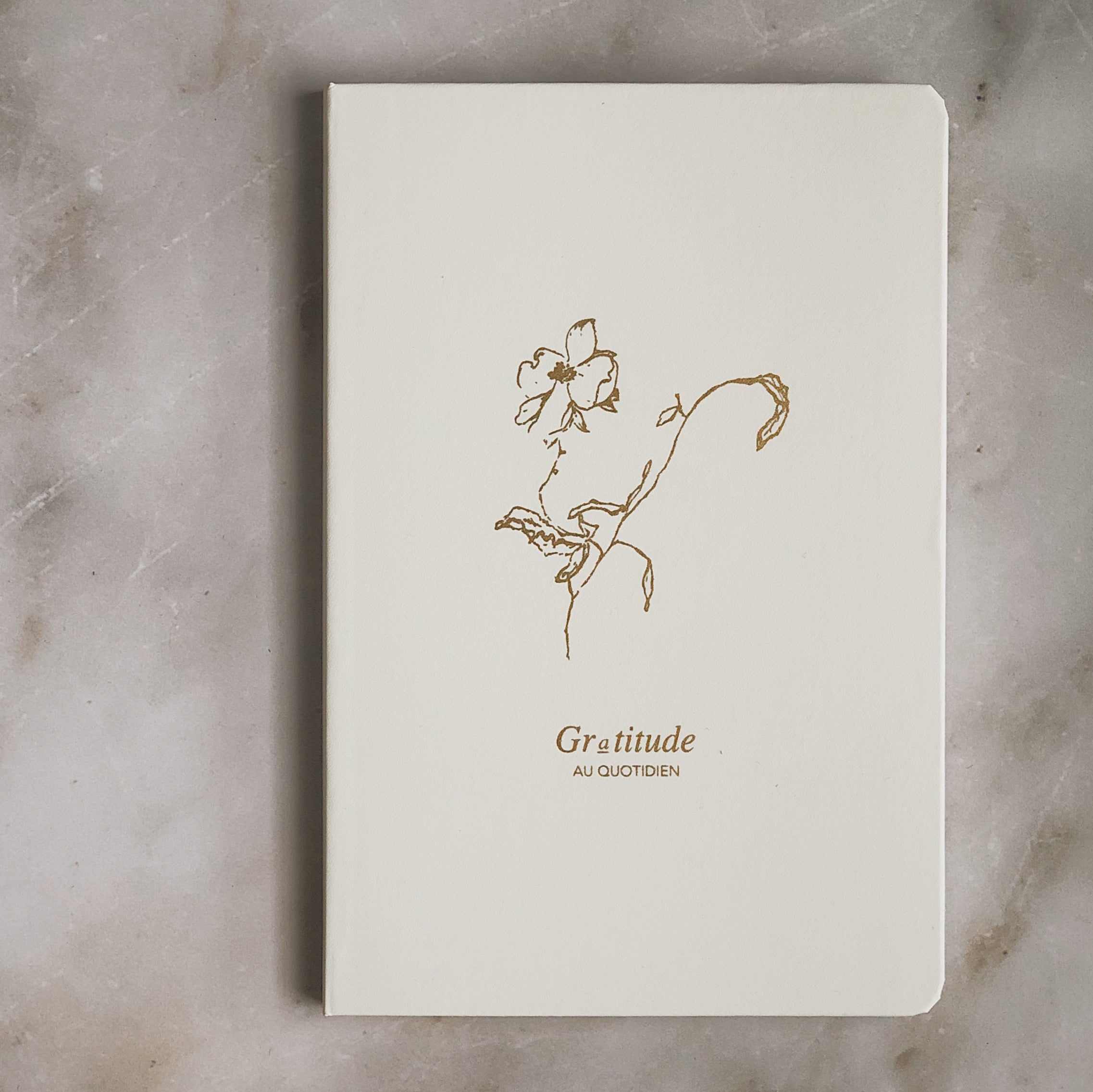 Le journal de gratitude : 30 jours de questions et bonus bilan de