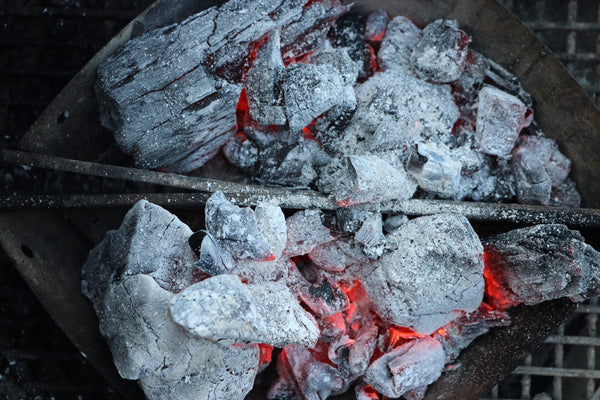 White-Hot Fogo Premium Lump Charcoal