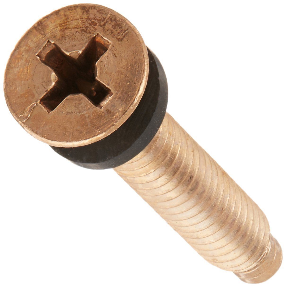 Pentair Brass Pilot Screw with Washer 79104800